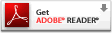Adobe.it